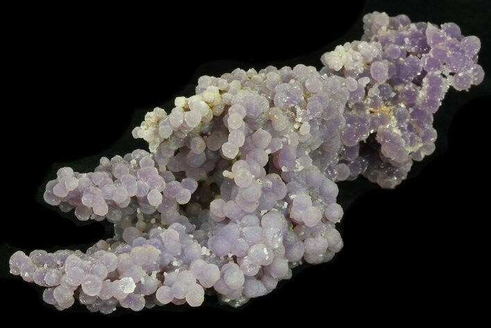 Purple, Botryoidal Grape Agate - Indonesia #38194